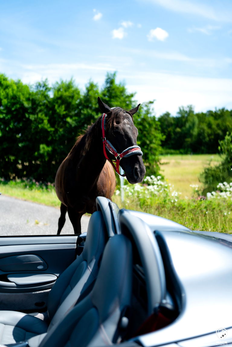 Porsche 986 Boxster S
