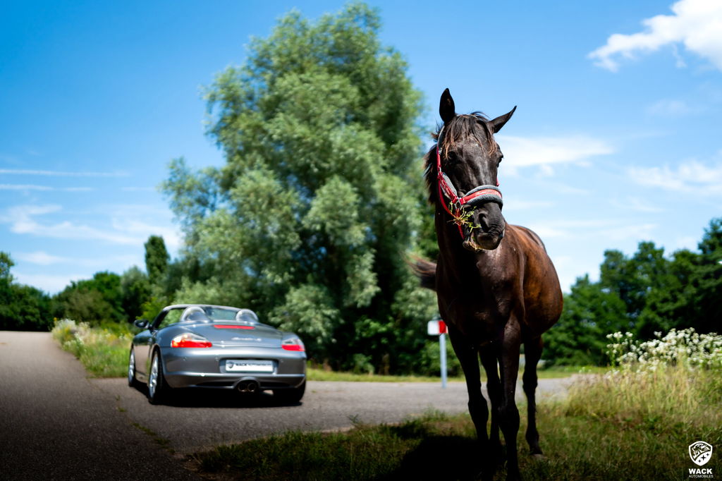 Porsche 986 Boxster S