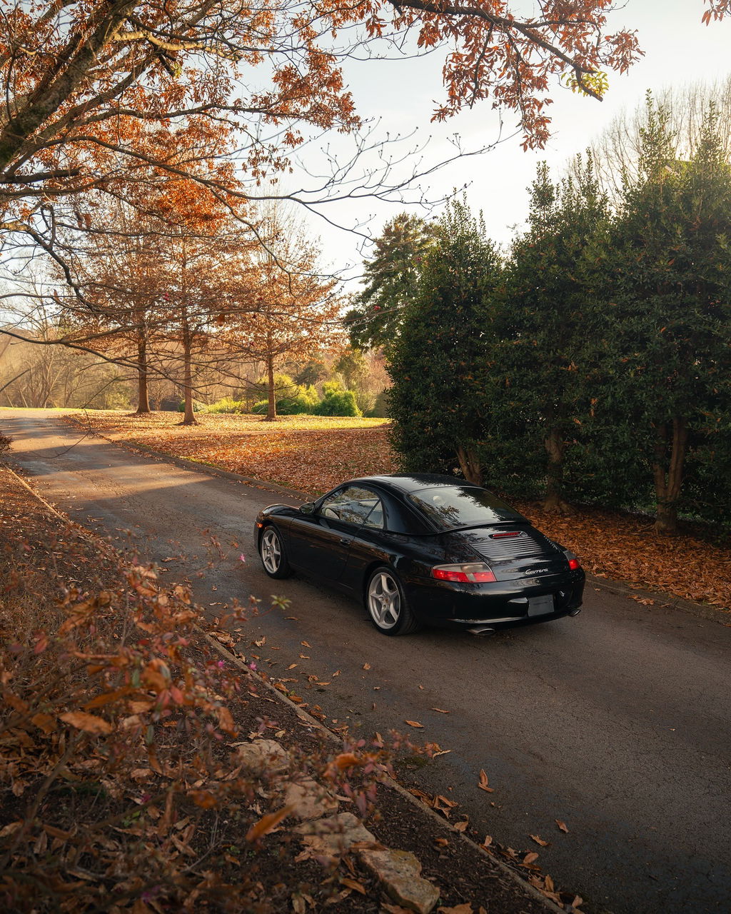 Porsche 996 Carrera