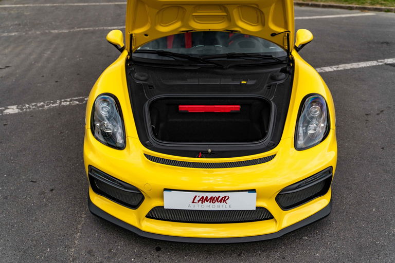 Porsche 981 Cayman GT4