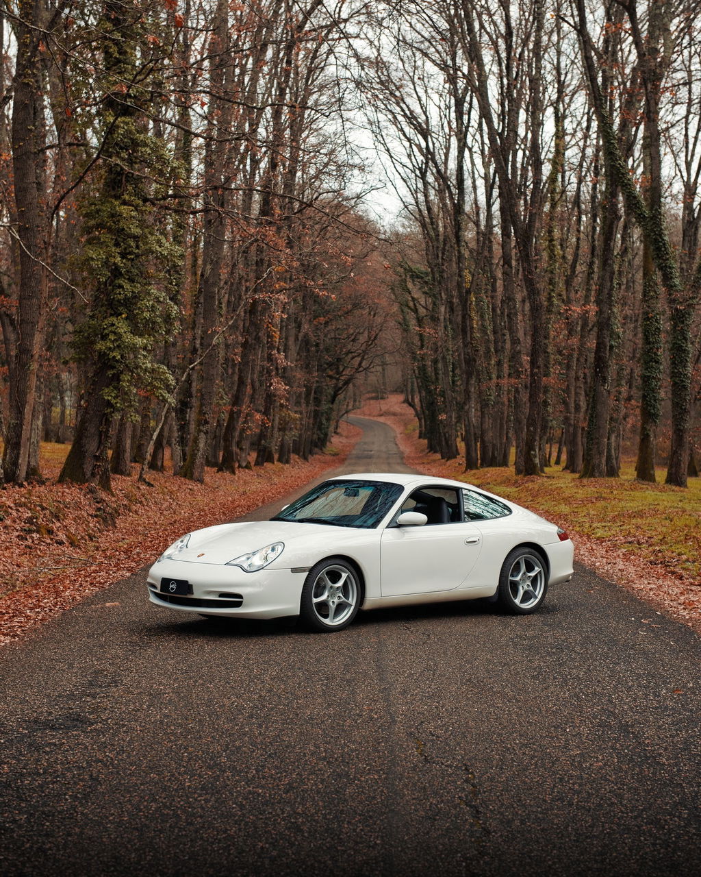 Porsche 996 Carrera