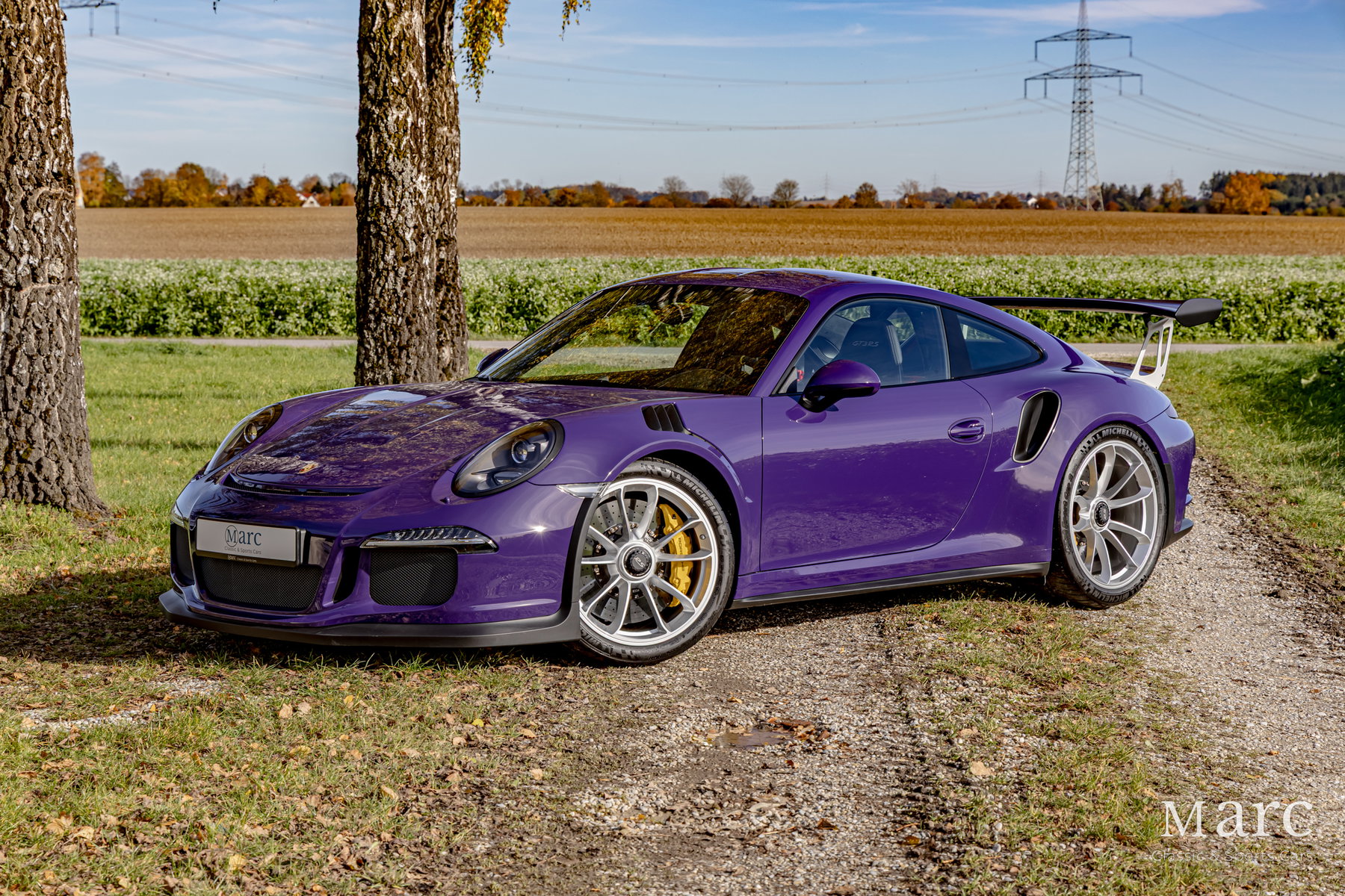 希少　PARADIS #3 2007/08 purple fashion Porsche 991 GT3 RS 2017 - elferspot.com - Marketplace for Porsche