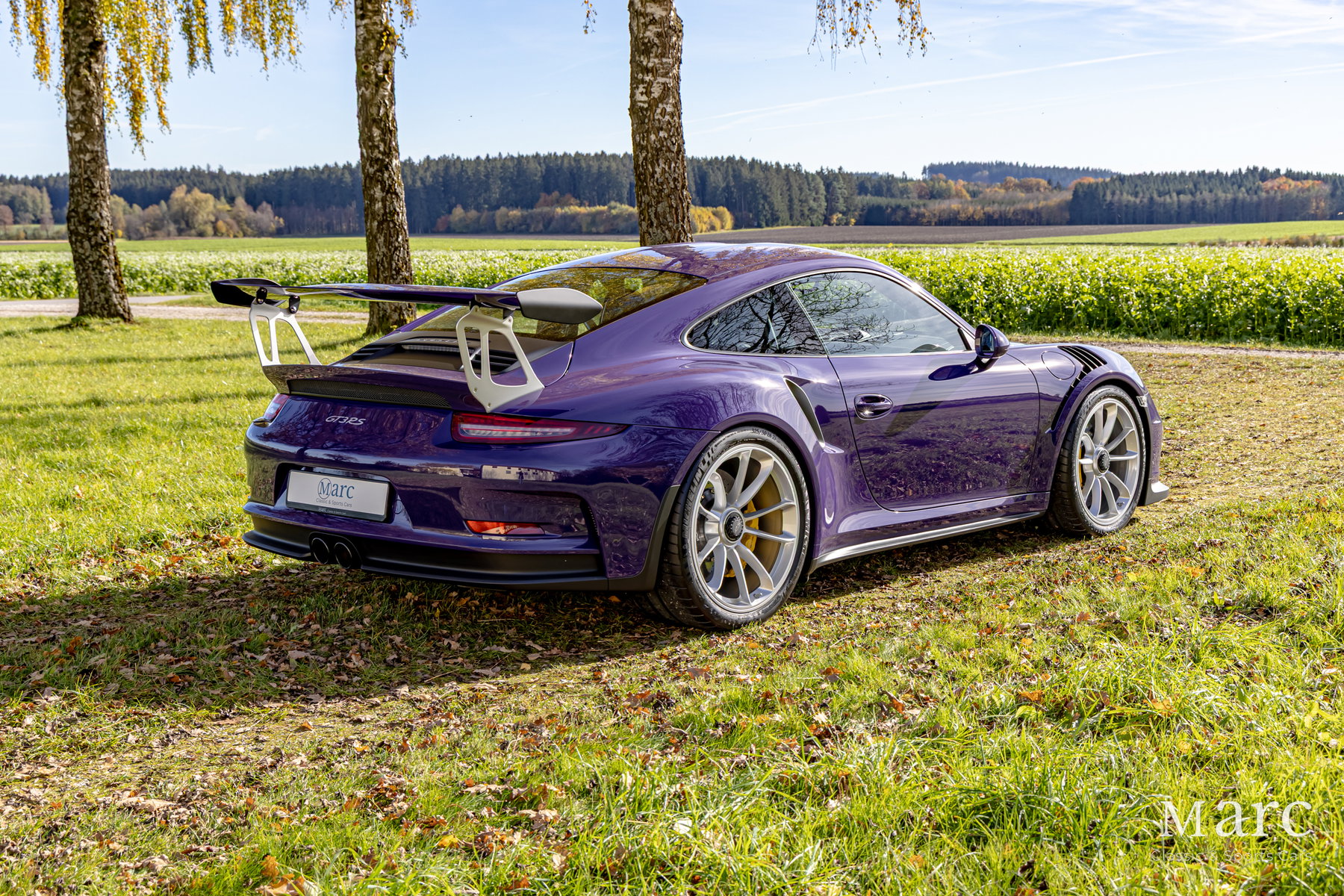 希少　PARADIS #3 2007/08 purple fashion Porsche 991 GT3 RS 2017 - elferspot.com - Marketplace for Porsche