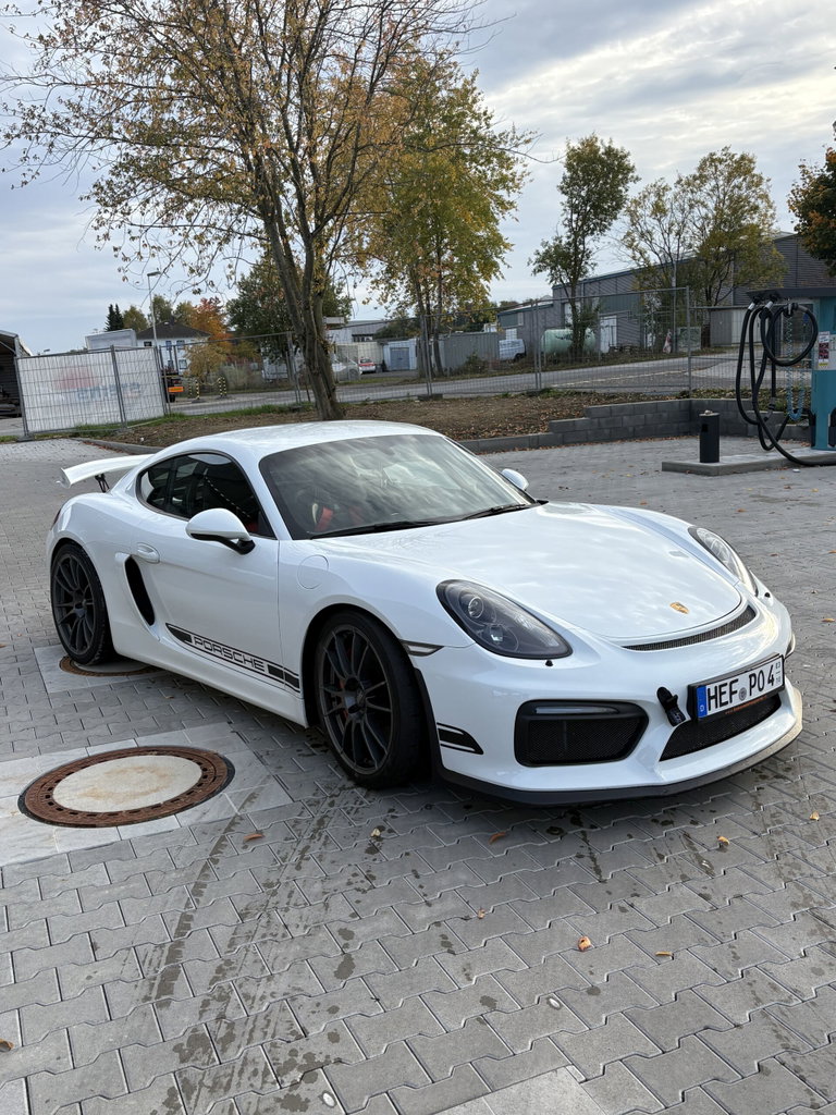 Porsche 981 Cayman GT4