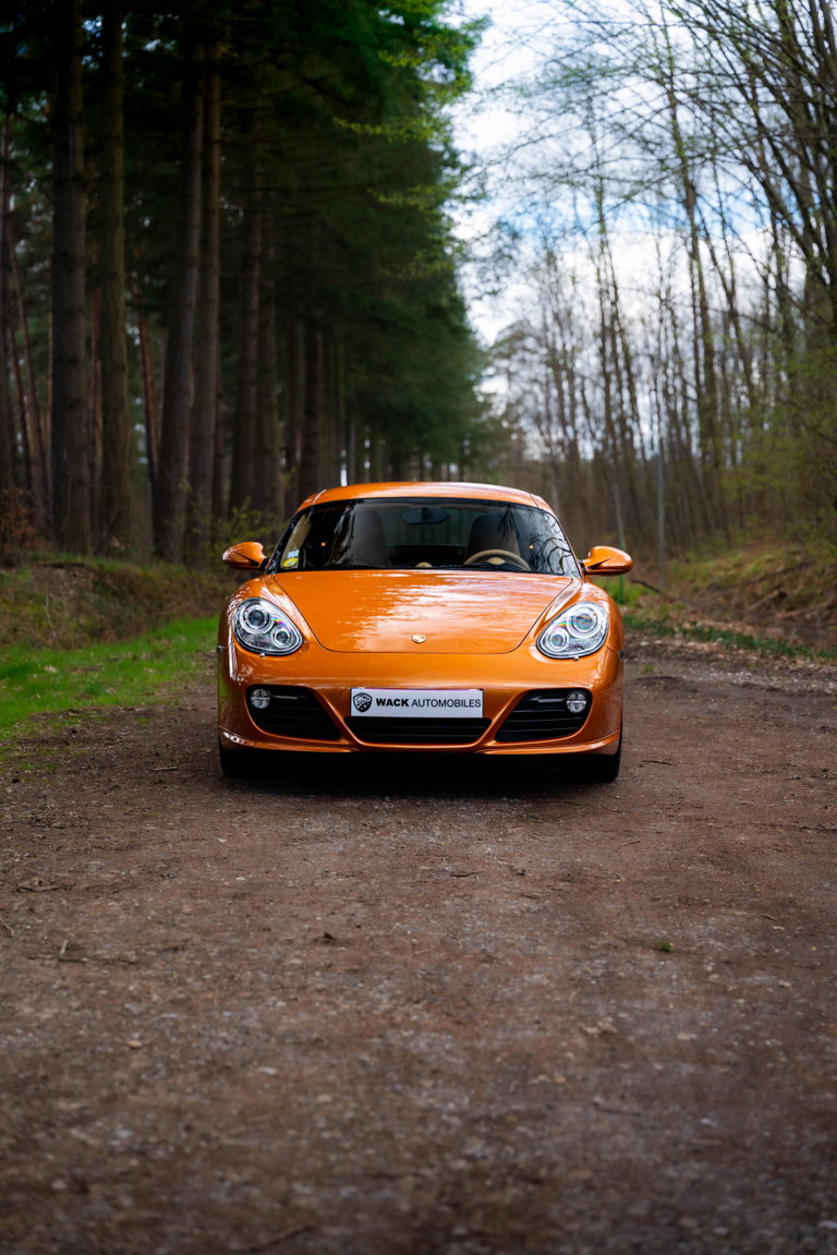 Porsche 987 Cayman S