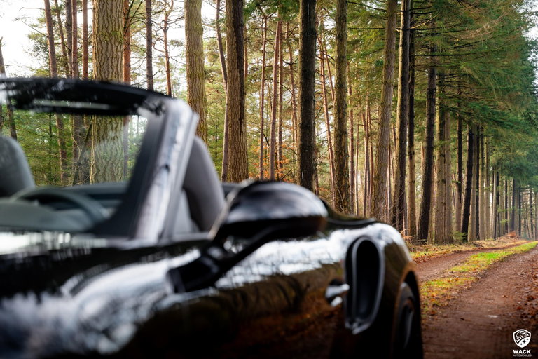 Porsche 991.2 Turbo S