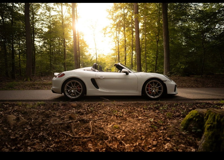Porsche 981 Boxster Spyder