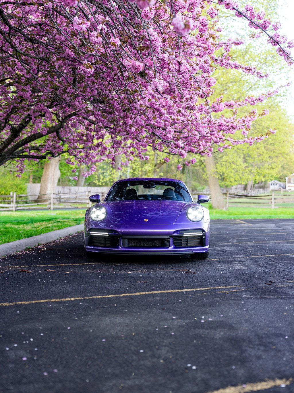 Porsche 992 Sport Classic