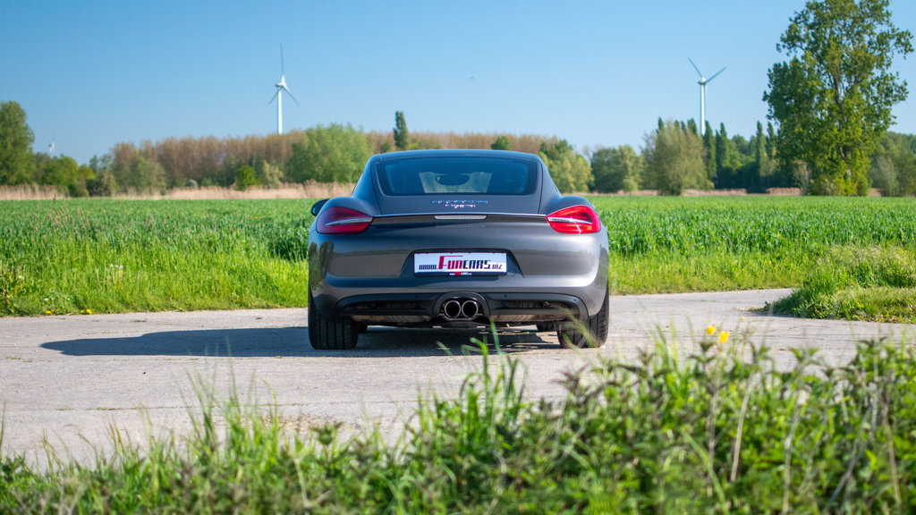 Porsche 981 Cayman