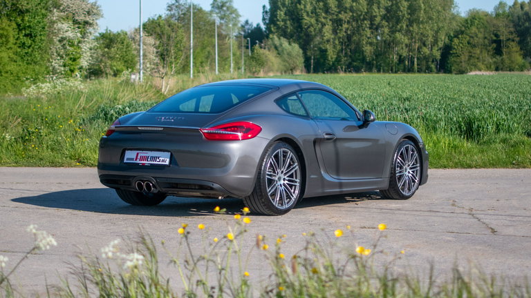 Porsche 981 Cayman