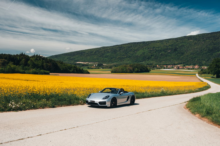Porsche 981 Boxster GTS