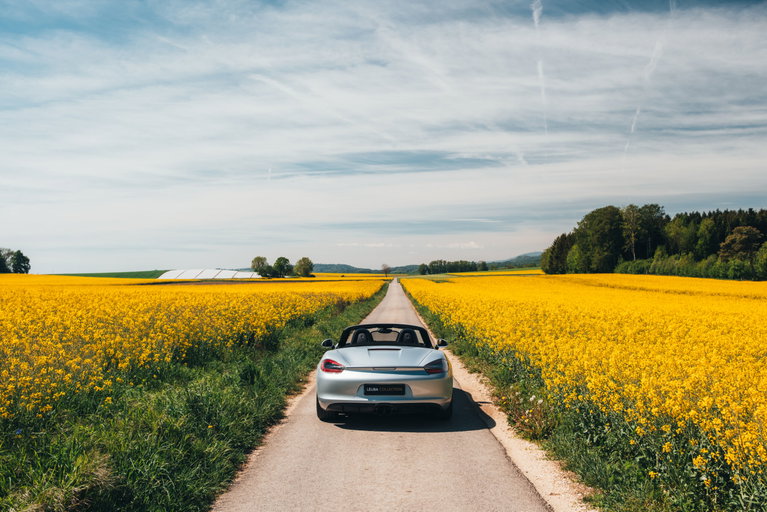 Porsche 981 Boxster GTS