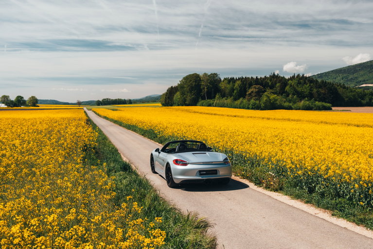 Porsche 981 Boxster GTS