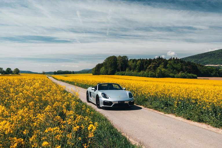 Porsche 981 Boxster GTS