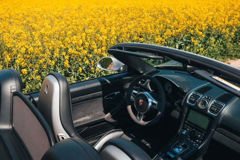 Porsche 981 Boxster GTS