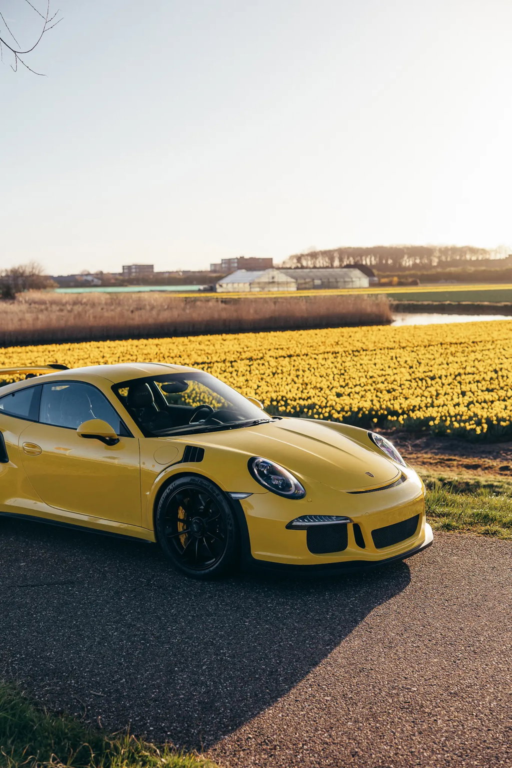 Porsche 991 GT3 RS