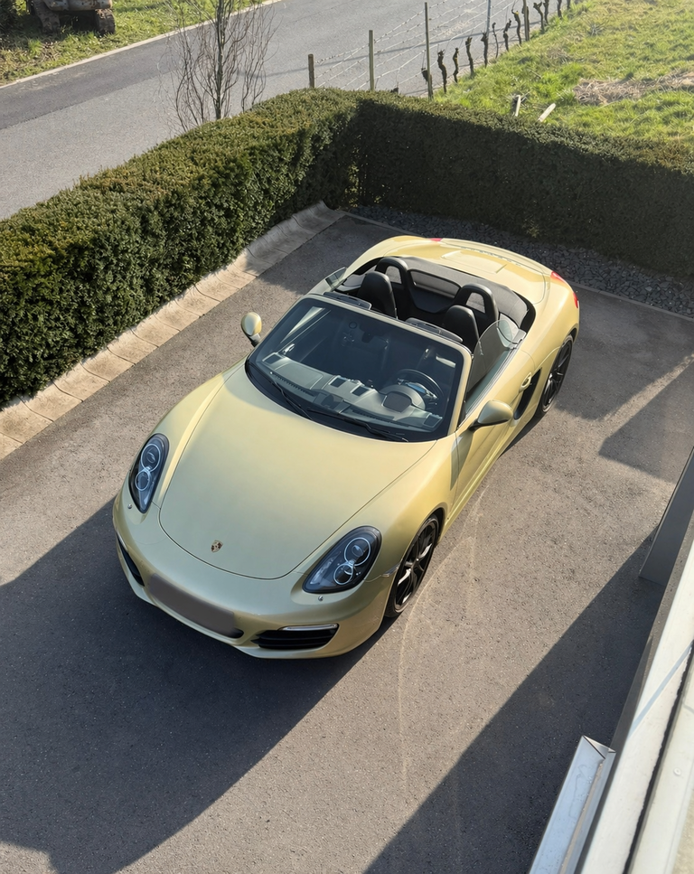 Porsche 981 Boxster S