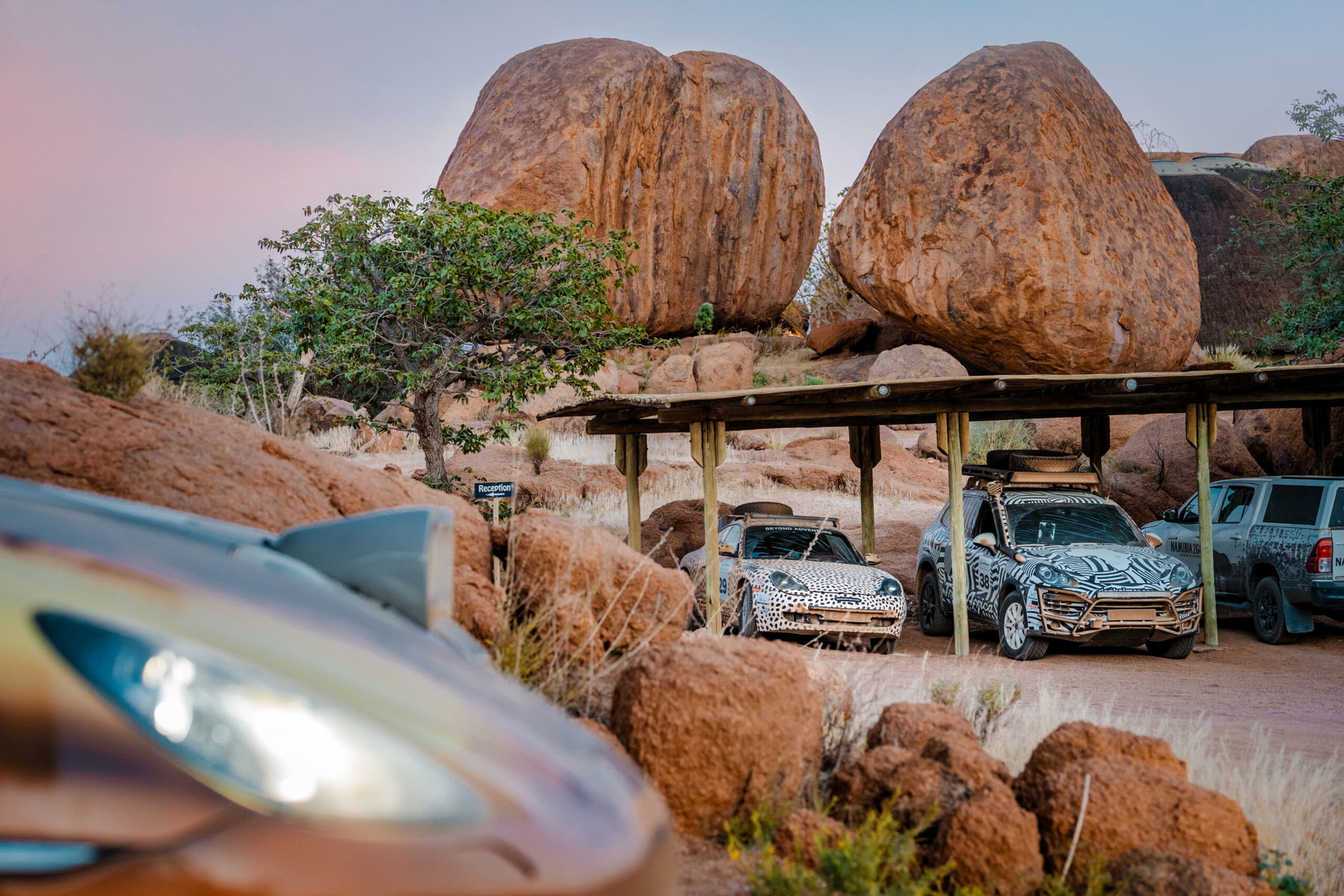 Elferspot Experience Namibia