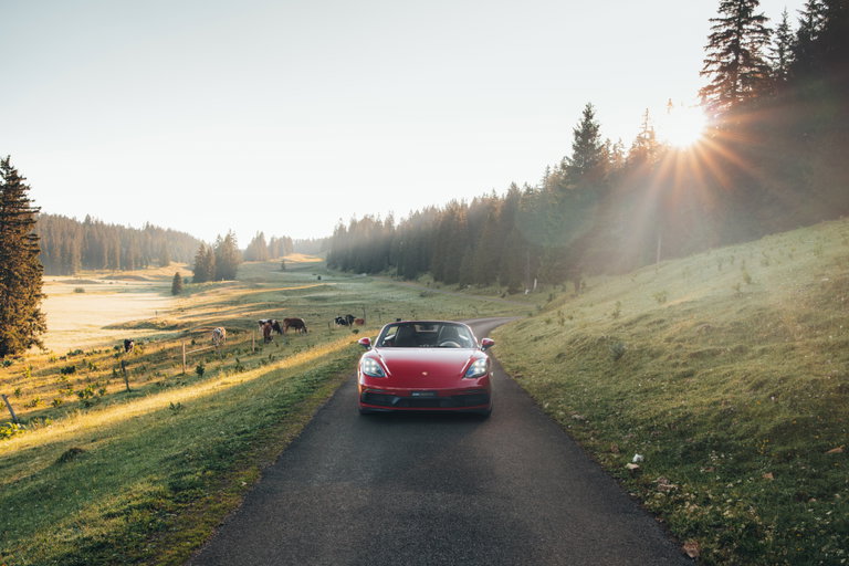 Porsche 718 Boxster GTS