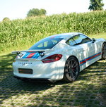 Porsche 981 Cayman GT4