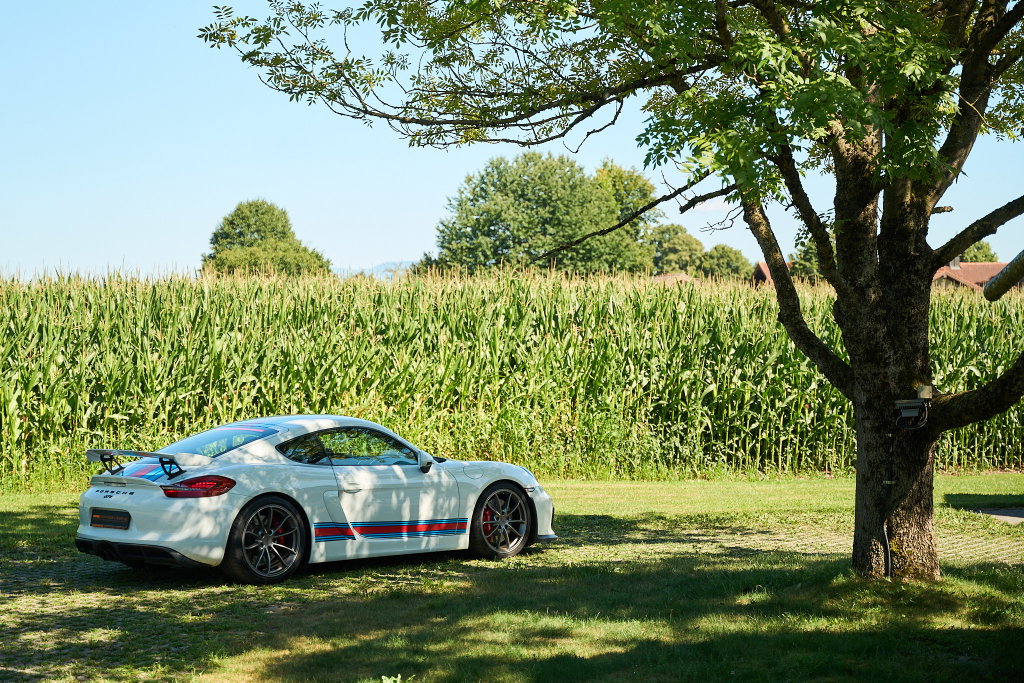 Porsche 981 Cayman GT4