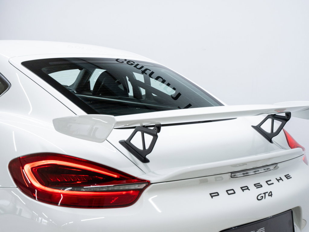 Porsche 981 Cayman GT4
