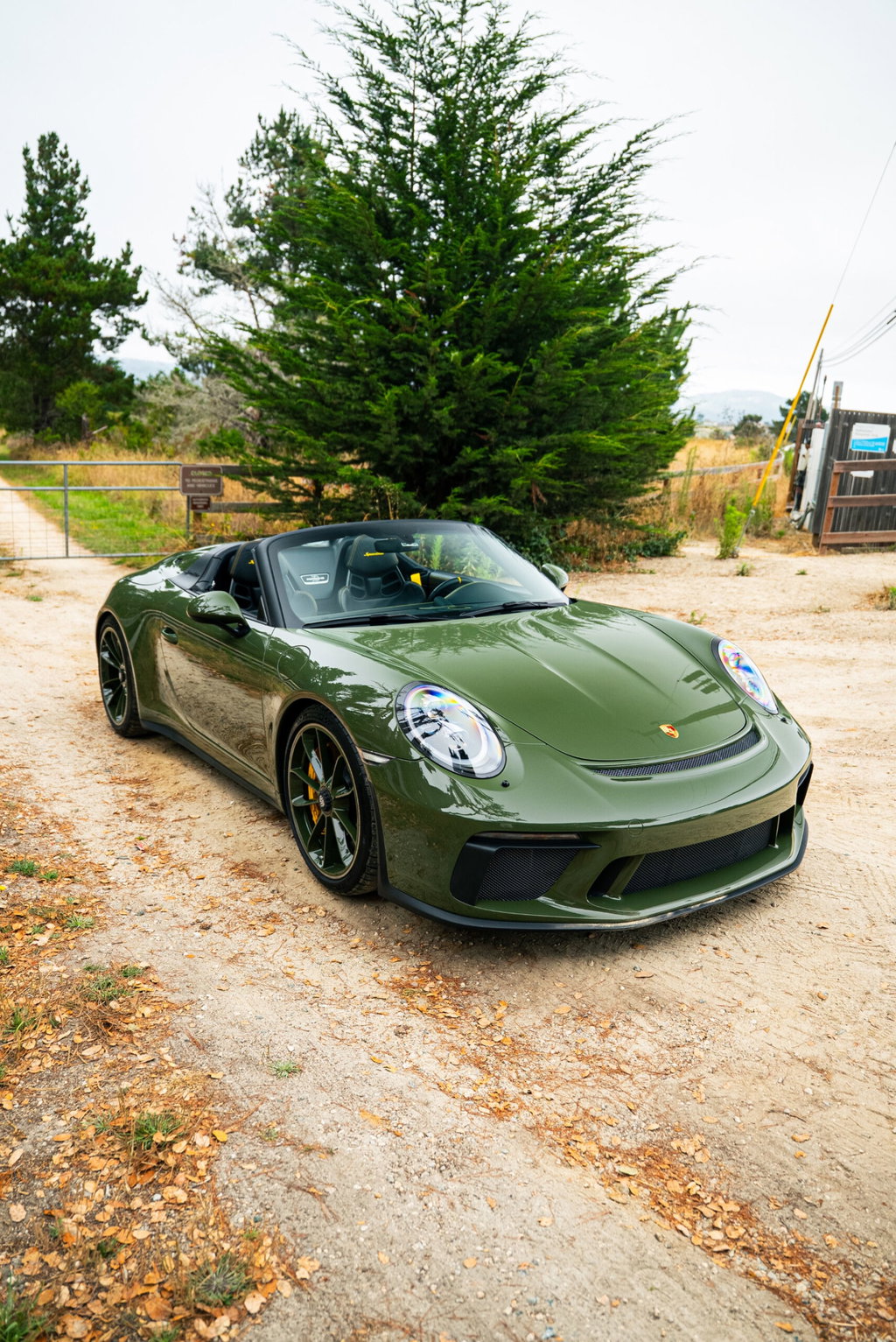 Porsche 991.2 Speedster