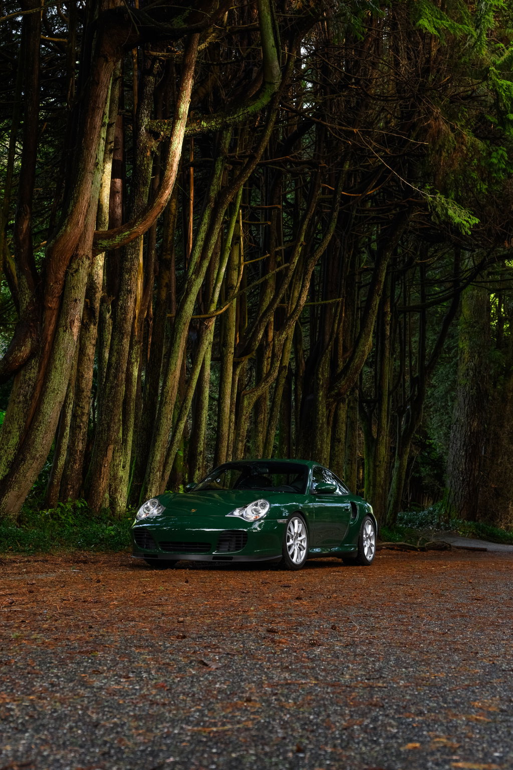 Porsche 996 Turbo