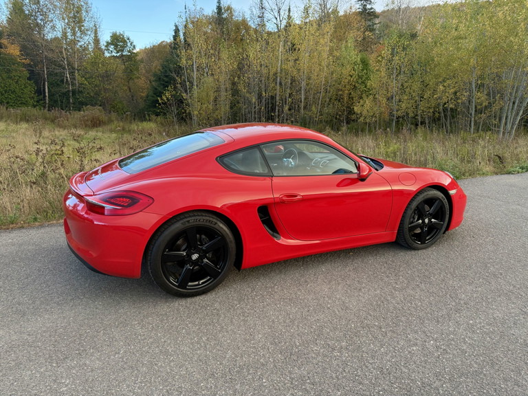 Porsche 981 Cayman