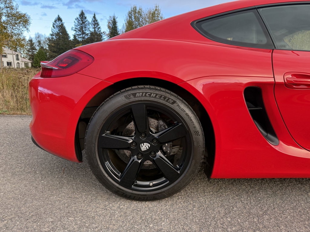 Porsche 981 Cayman