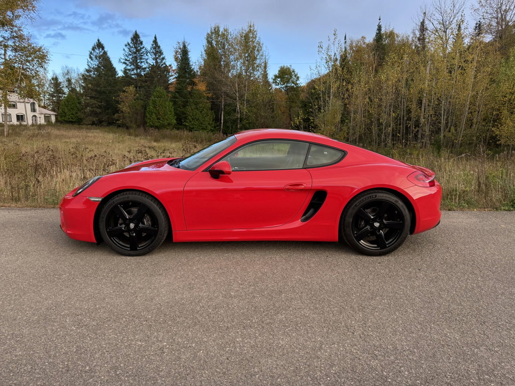 Porsche 981 Cayman