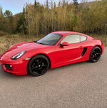 Porsche 981 Cayman